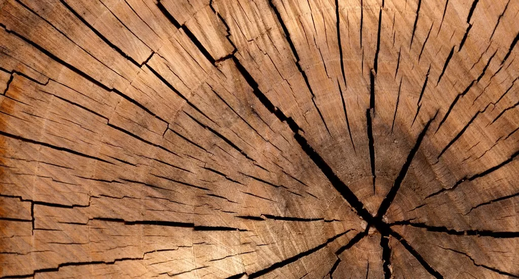 Herstellung von Papiestrohhalmen aus erneuerbaren Holzquellen